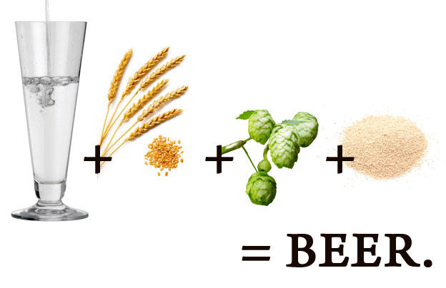 What is the most important ingredient in beer?