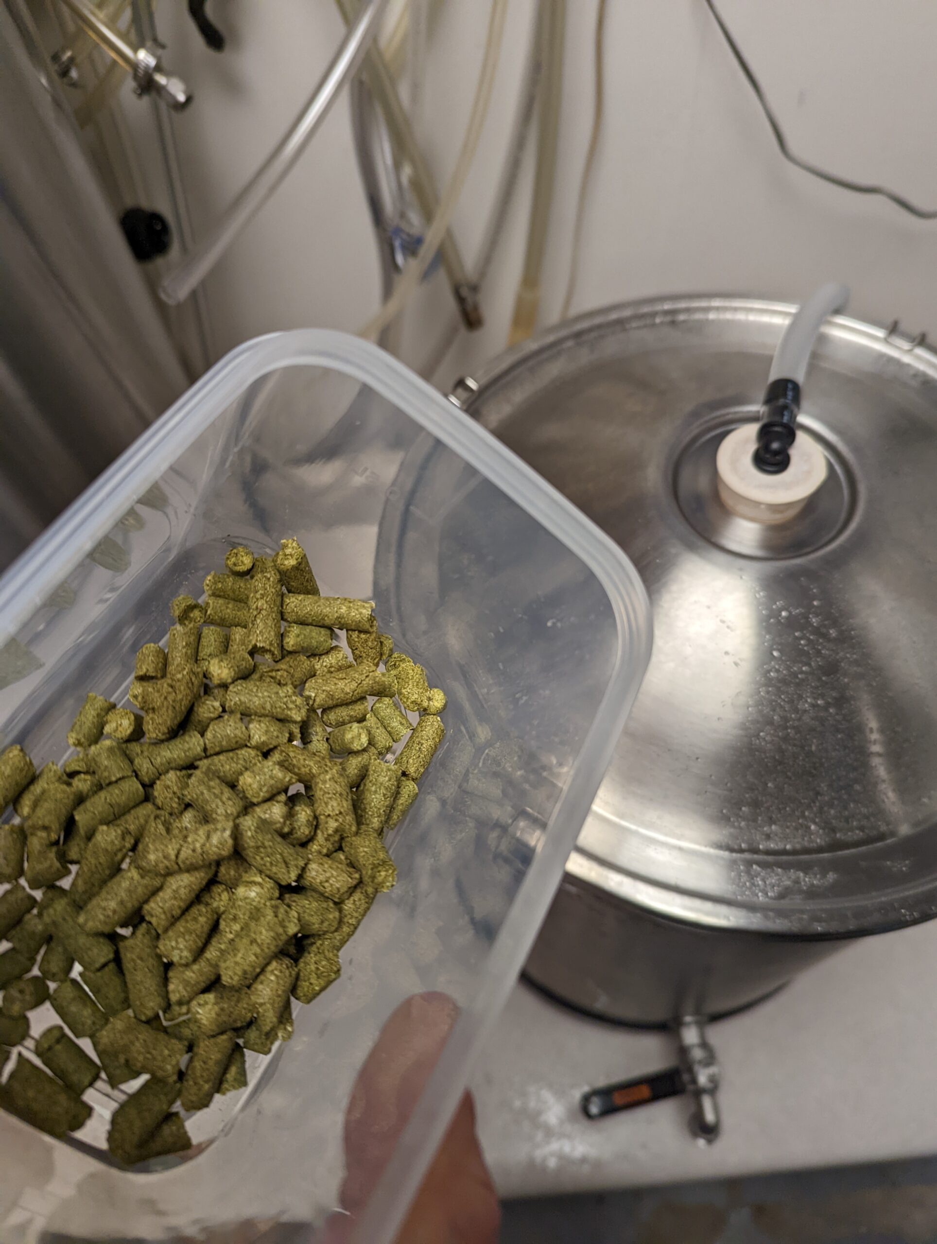 UPDATE: Billy B’s Harrison Lager Brew Day 4-16-2022