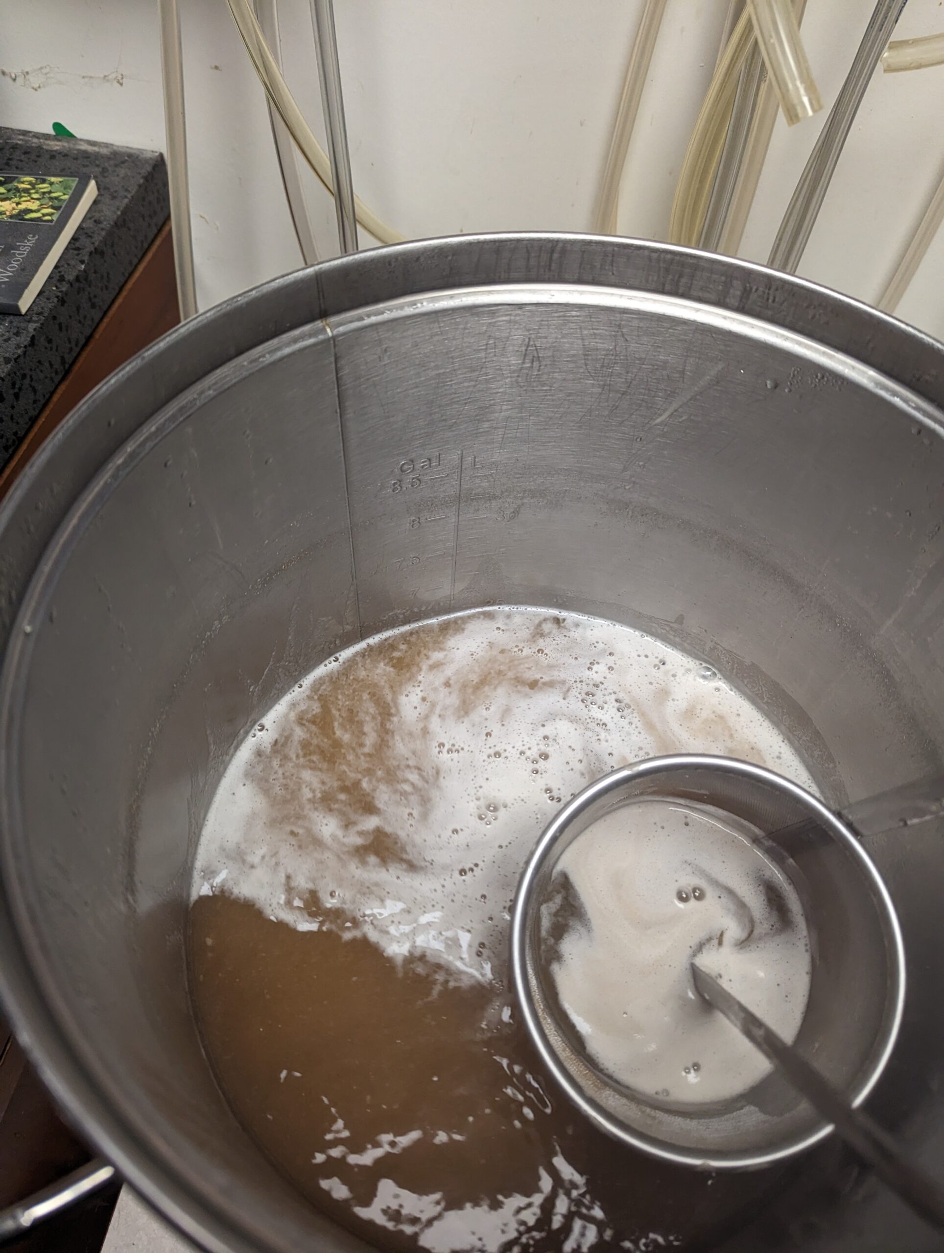 Billy B’s Harrison Lager Brew Day 1-21-23