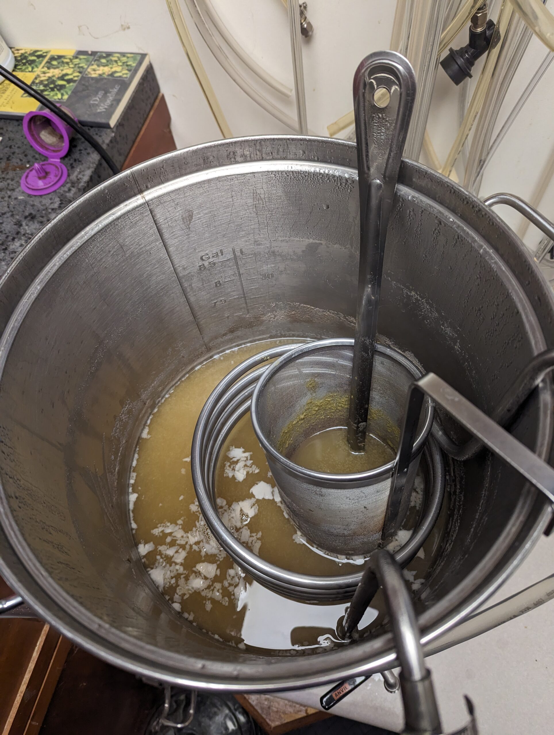 Dirty Bucket Session IPA Brew day 6-25-23