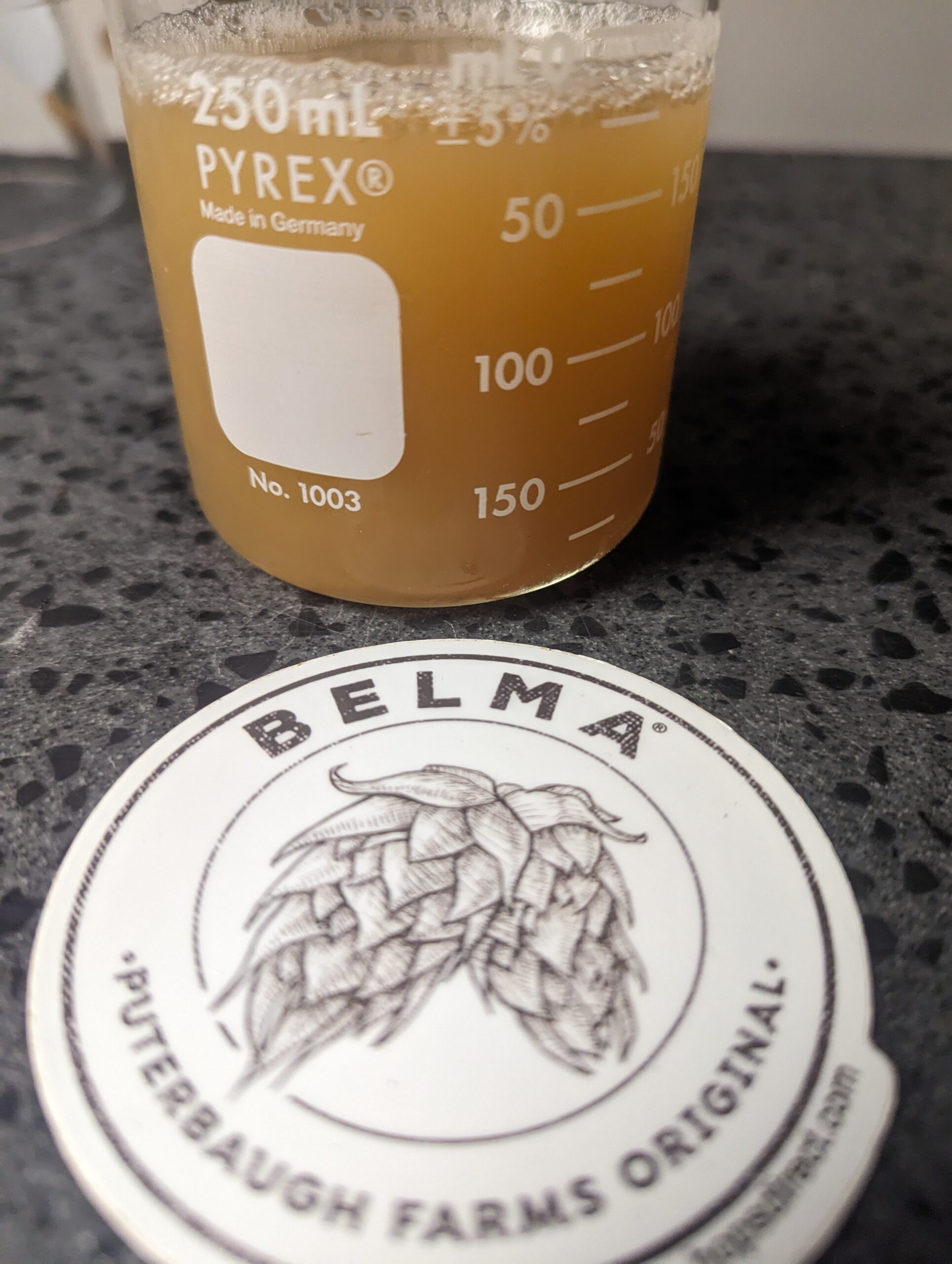 UPDATE: Belma APA brew day 8-7-23