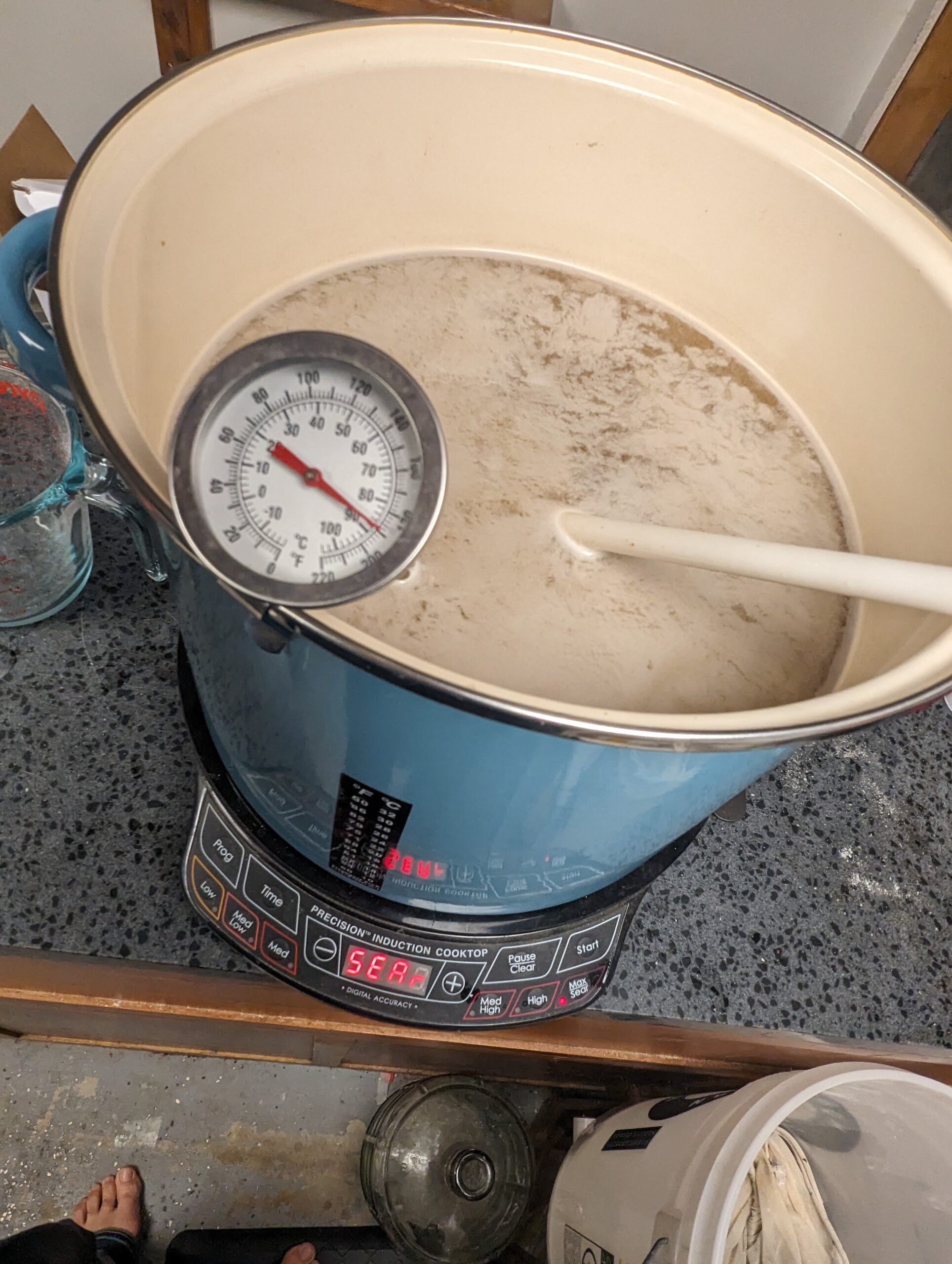 Back Yard Yeast Experiment: Brewing the beer